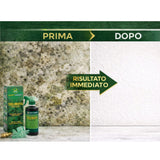 Antimuffa Spray 500ml con Resina Acrilica Toglimuffa per Muri Interni Muffa Pareti Bagno Cucina Umidità Elimina Muffa e Aloni Azione Rapida Professionale