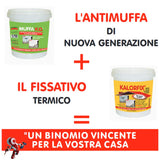 TECNOSTUK Muffa K.O. 1 L. – Fondo Speciale Antimuffa e Termoisolante – Igienizzante, Neutralizzante e Sbiancante per Pareti e Soffitti – Interni ed Esterni, Classe A+
