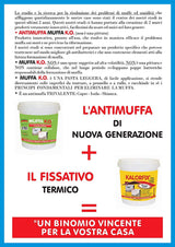 TECNOSTUK Muffa K.O. 1 L. – Fondo Speciale Antimuffa e Termoisolante – Igienizzante, Neutralizzante e Sbiancante per Pareti e Soffitti – Interni ed Esterni, Classe A+