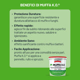 TECNOSTUK Muffa K.O. 3 L. – Fondo Speciale Antimuffa e Termoisolante – Igienizzante, Neutralizzante e Sbiancante per Pareti e Soffitti – Interni ed Esterni, Classe A+