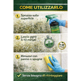 Antimuffa Spray 500ml con Resina Acrilica Toglimuffa per Muri Interni Muffa Pareti Bagno Cucina Umidità Elimina Muffa e Aloni Azione Rapida Professionale
