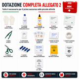 HM Cassetta Pronto Soccorso Aziendale, Conforme D.M. 388/03 Allegato 2, Valigetta Rigida Rossa, Supporto a Parete Incluso, per Uffici, Negozi, Laboratori e Piccole Aziende